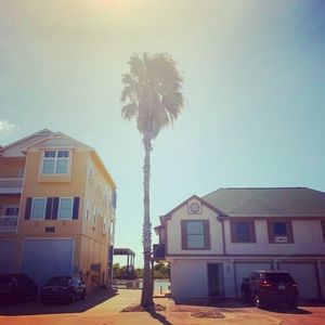 Meet your Posher, Jesse